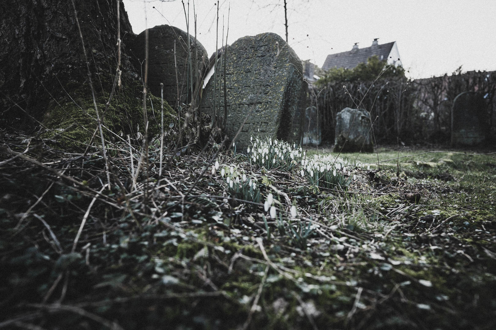 Horn-Bad Meinberg, Jüdischer Friedhof
